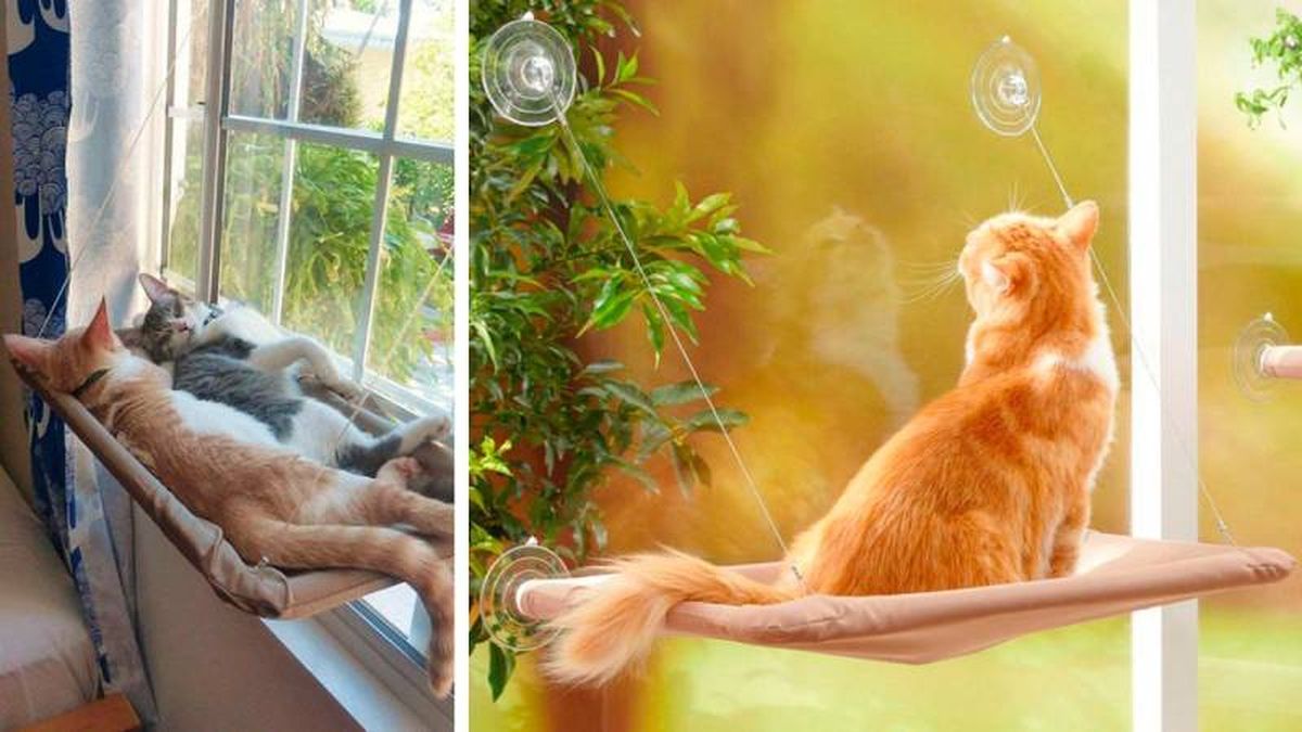 Una cama colgante felina les ayudará a curiosear la calle o el jardín.
