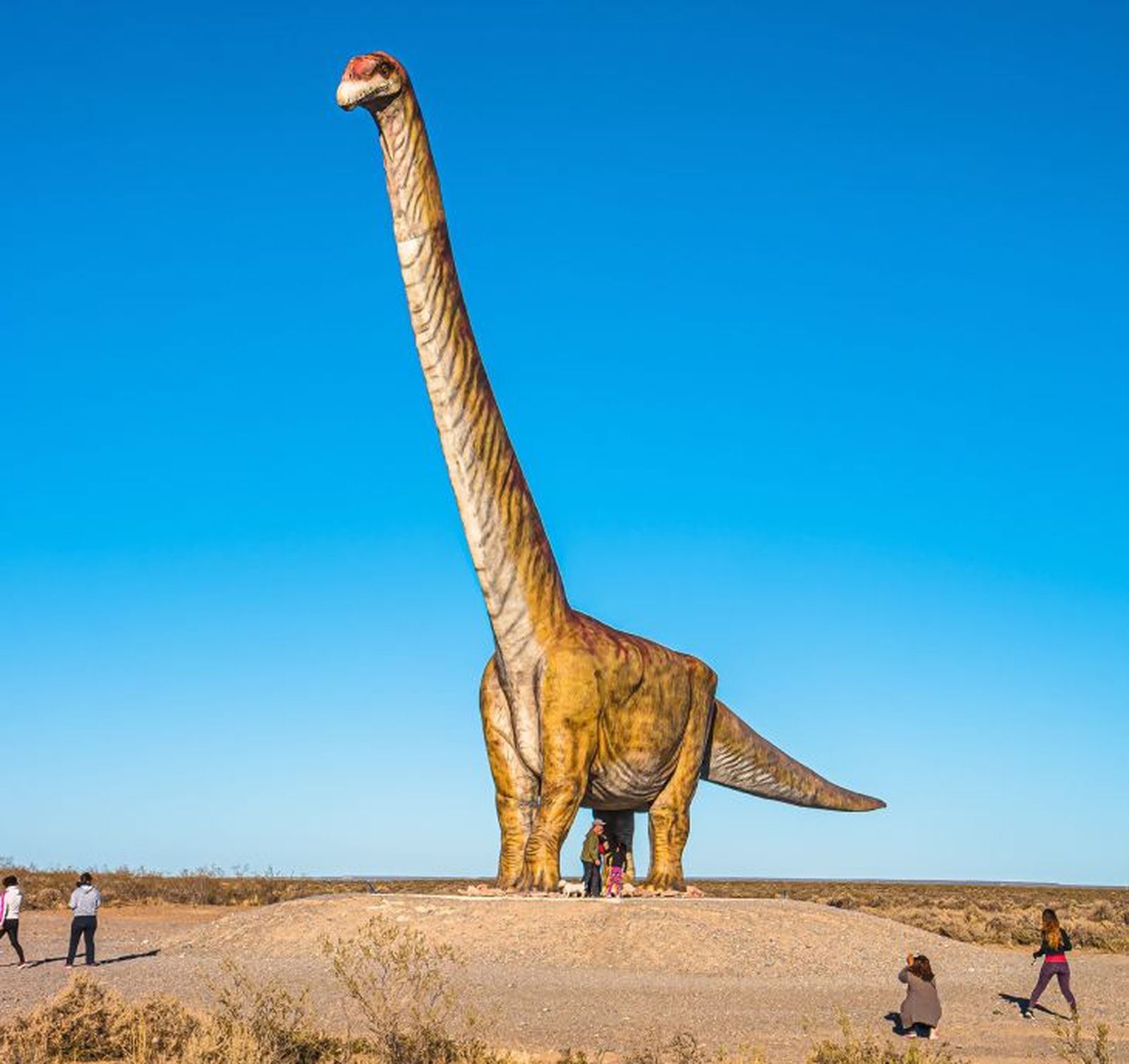 como eran los dinosaurios 6 como eran los dinosaurios 6