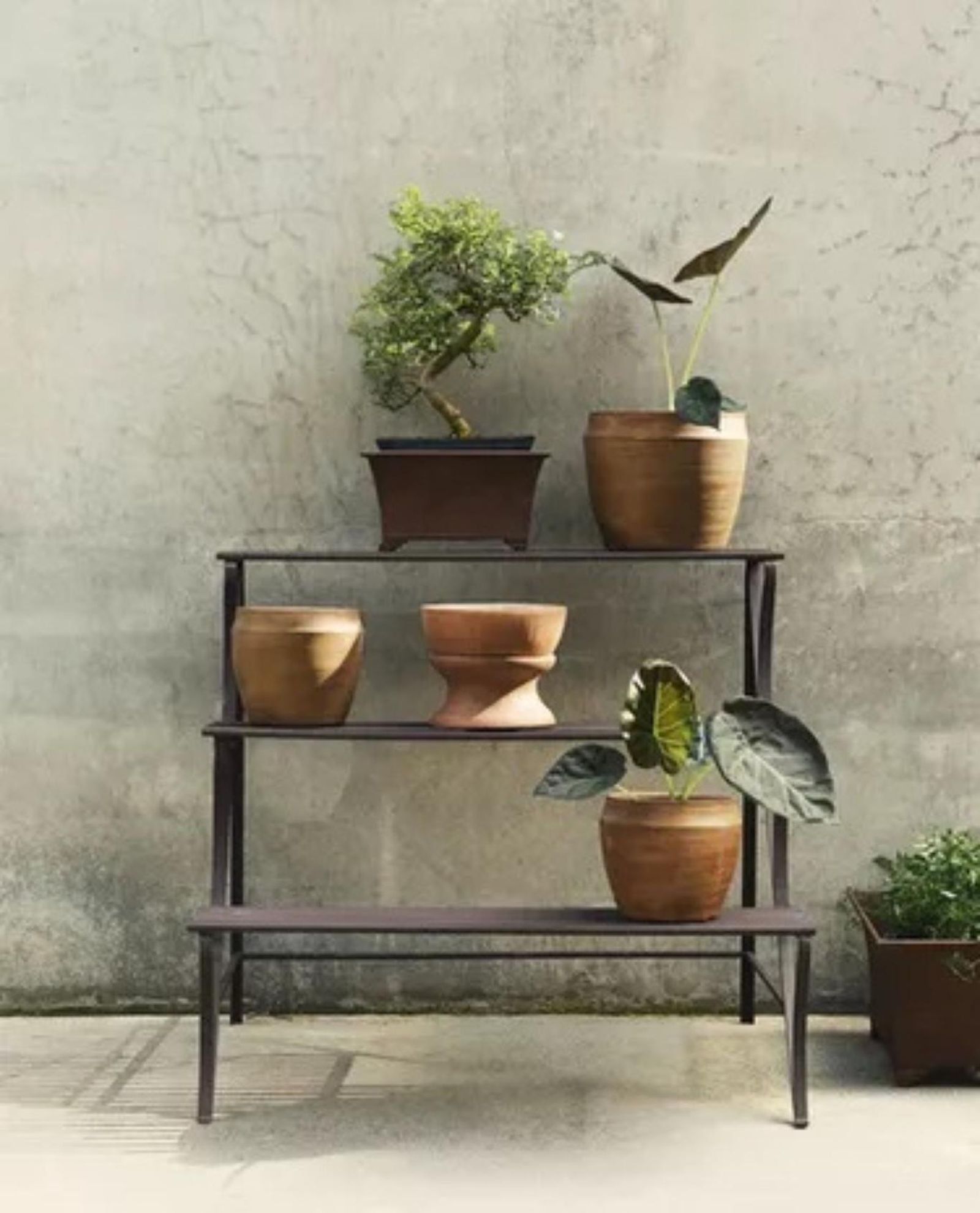 Mueble de almacenaje para plantas.