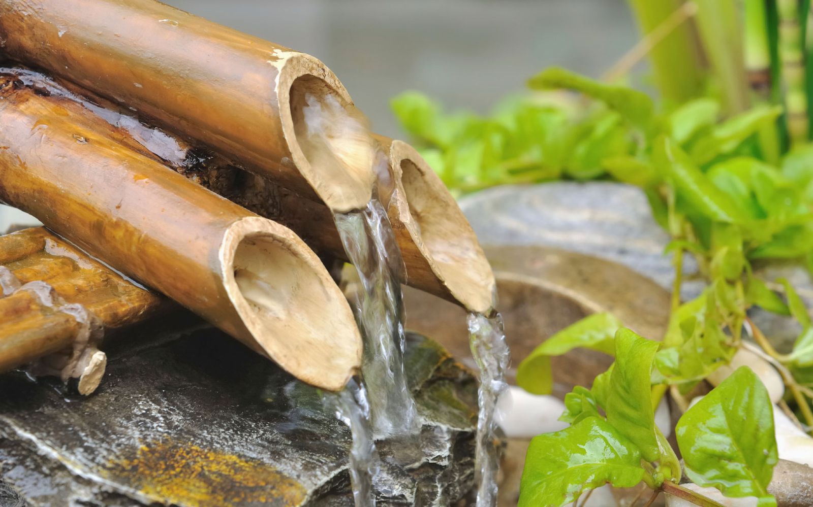 Colocar una fuente japonesa de bambú en el jardín