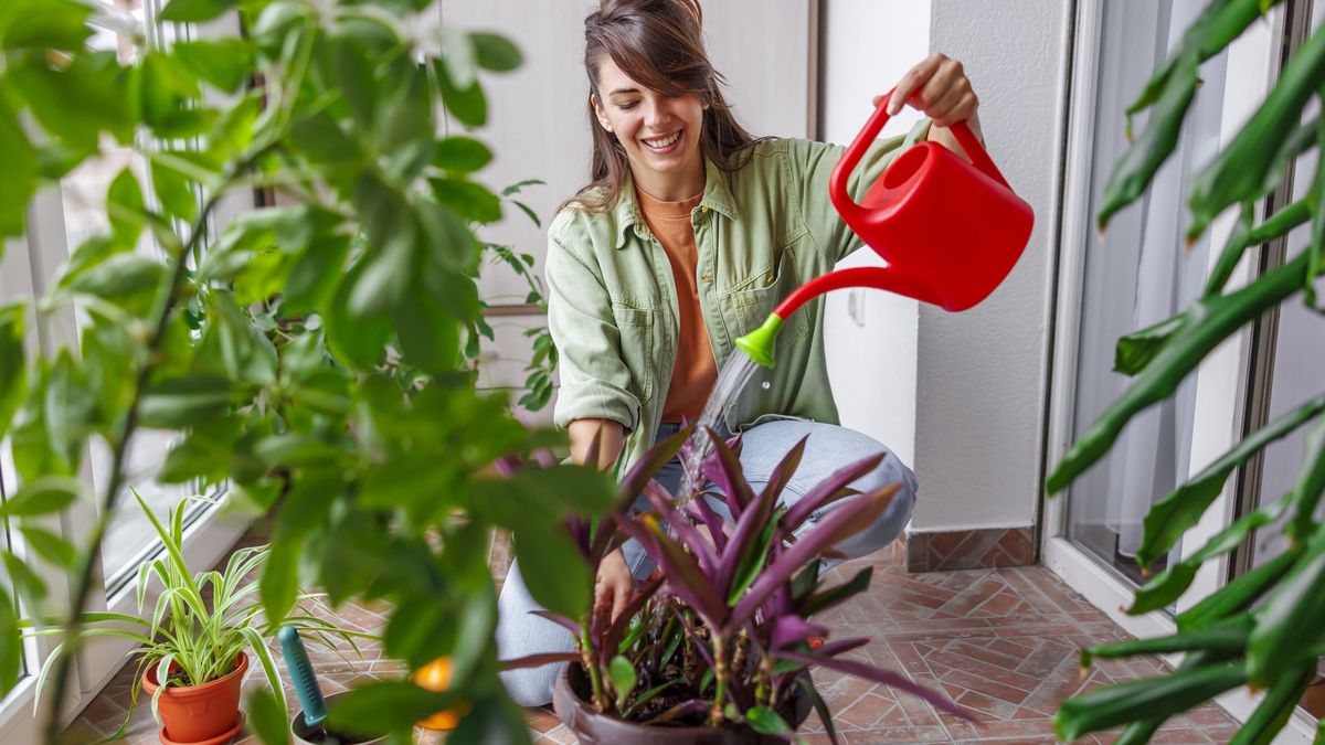 Conocer las necesidades de riego específicas de cada planta es fundamental