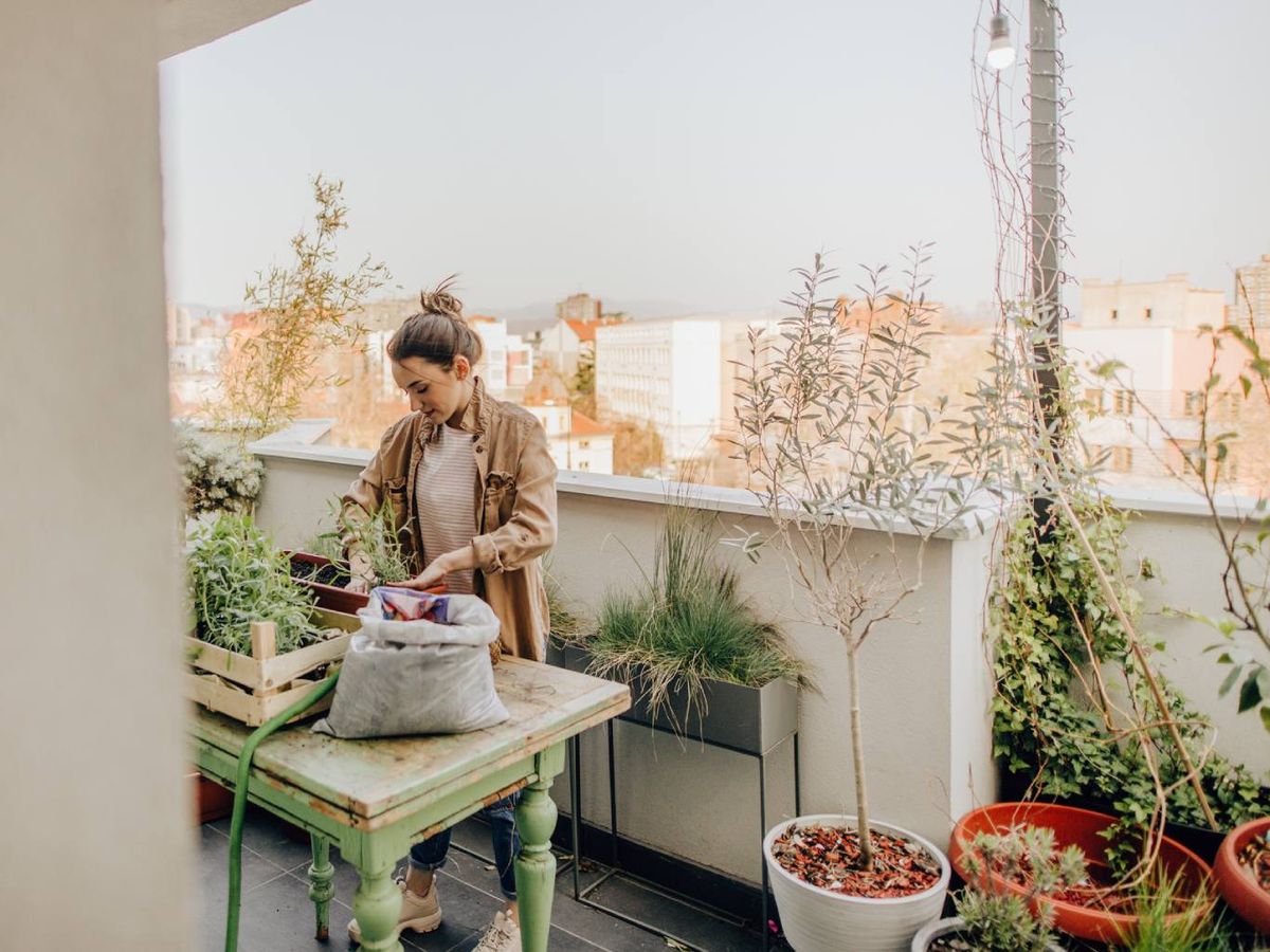 Un organización previa del espacio es la clave del éxito final.