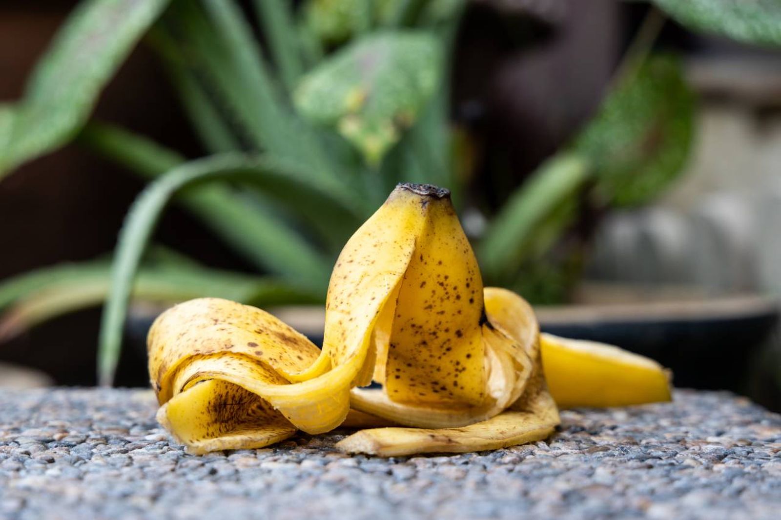 Congelar la piel de plátano se está convirtiendo en una auténtica tendencia ecológica.