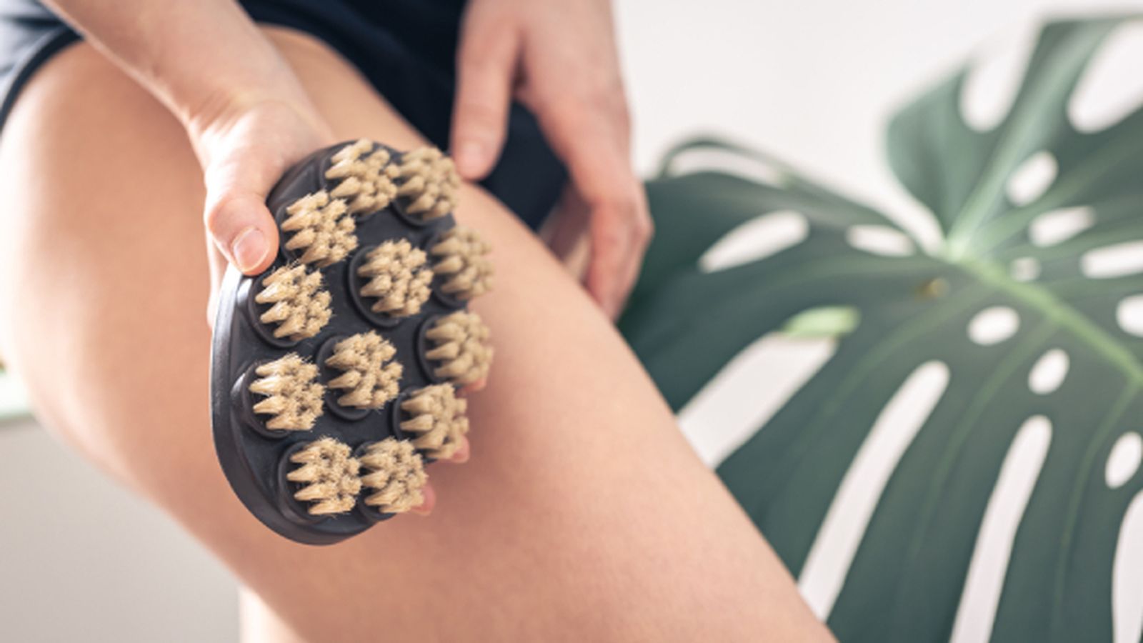 como evitar y tratar las trias exfoliar como evitar y tratar las trias exfoliar
