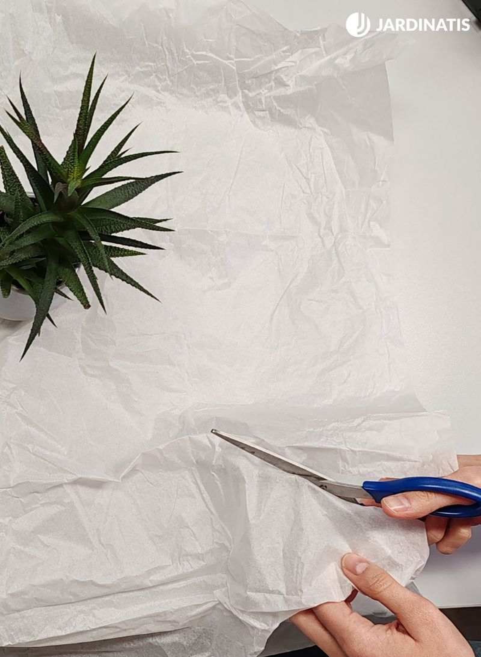 envolver una planta envolver una planta