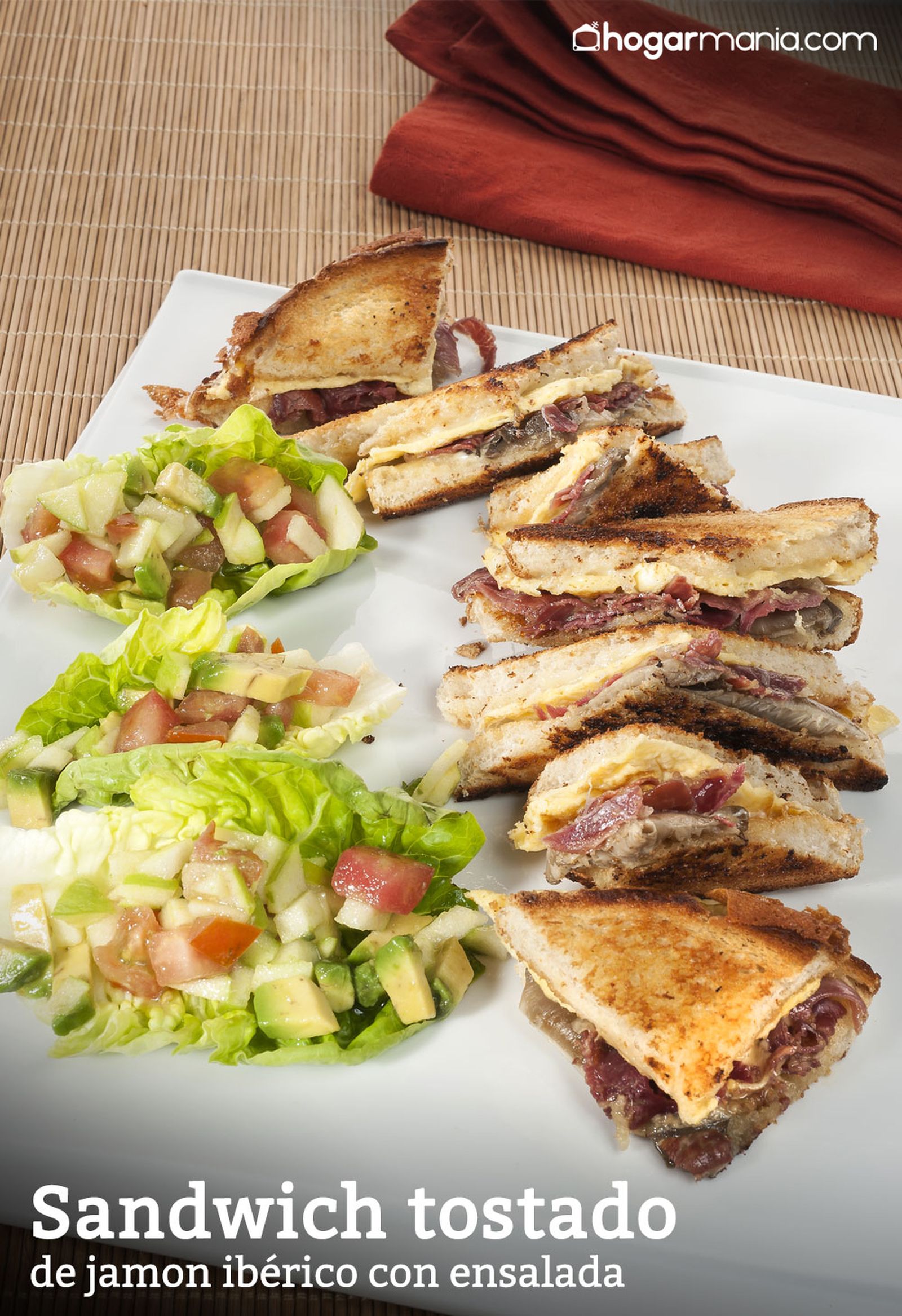 CABI0023 Amaia Sandwich tostado de jamon iberico con ensalada vertical xl CABI0023 Amaia Sandwich tostado de jamon iberico con ensalada vertical xl