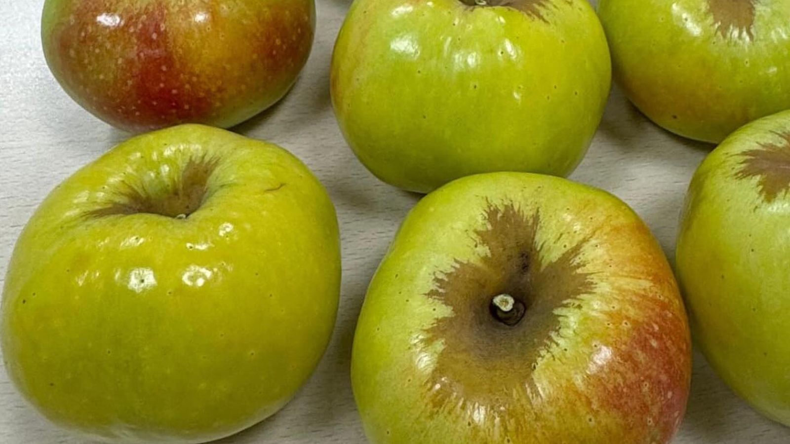 La Feria de la Manzana Esperiega celebra cada noviembre el sabor único de la manzana de hielo.