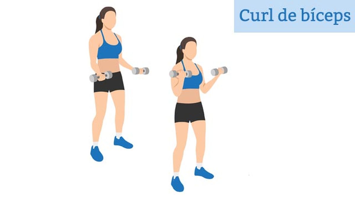 los mejores ejercicios con mancuernas para tonificar brazos en casa curl biceps
