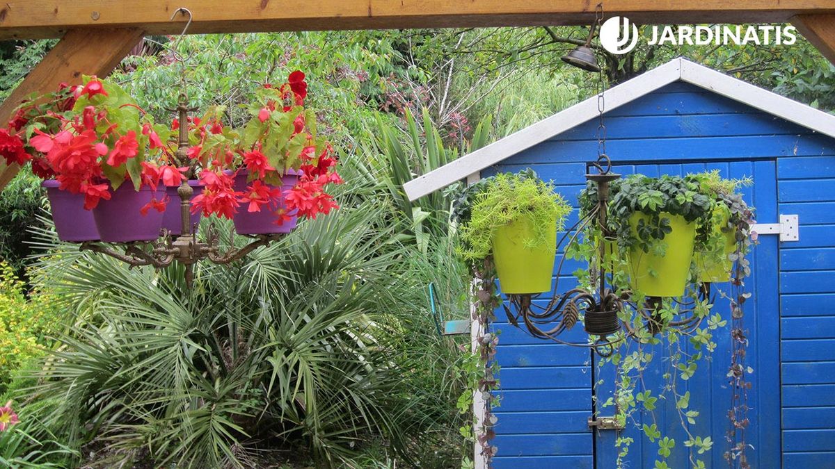 Reutilizar lampar araña como macetero