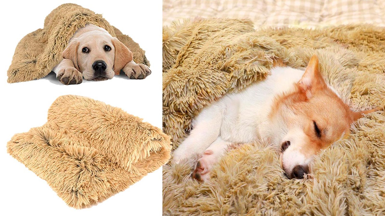 mantitas economicas perros gatos 7 mantitas economicas perros gatos 7
