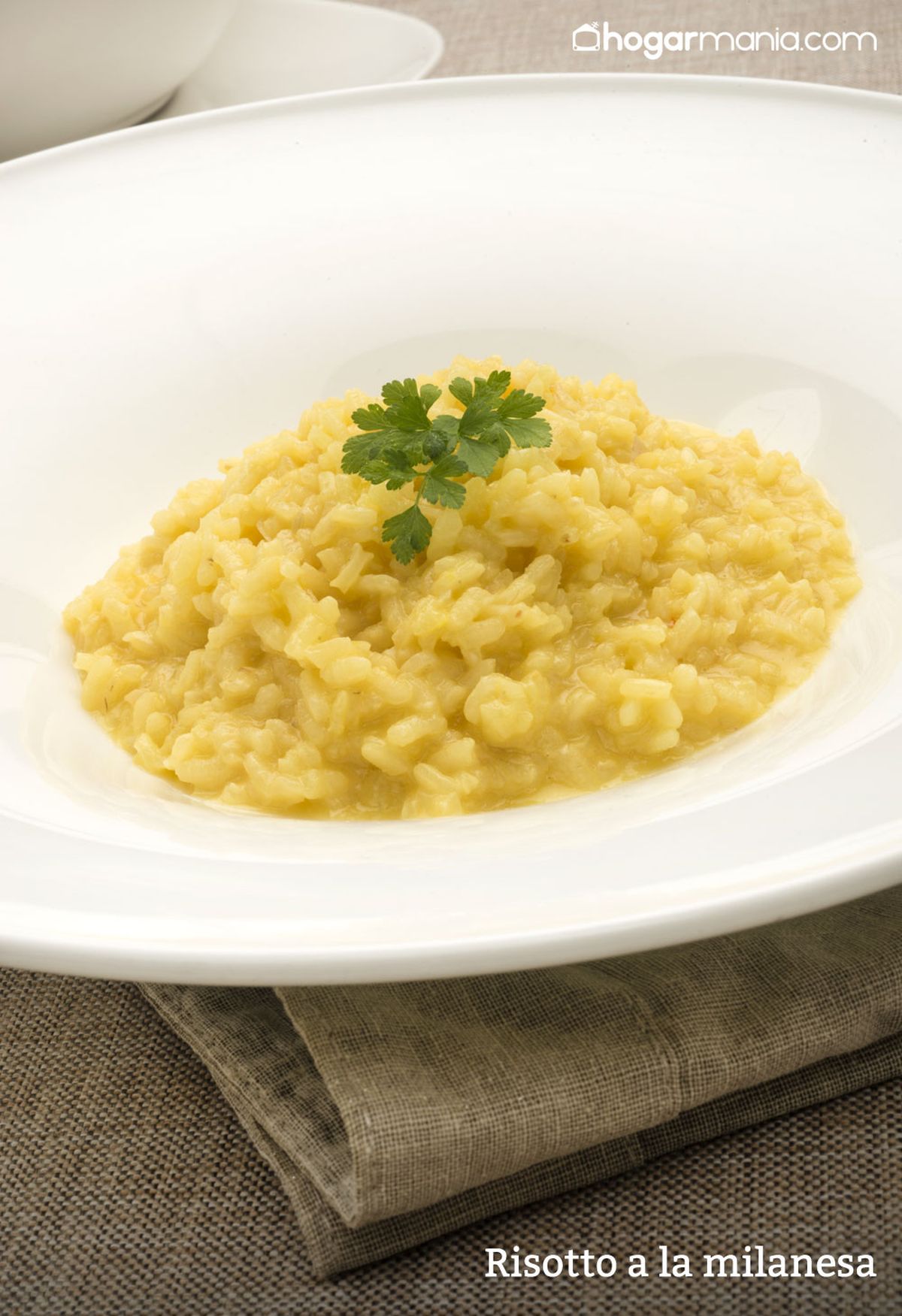 6127 1 Risotto a la milanesa vertical xl