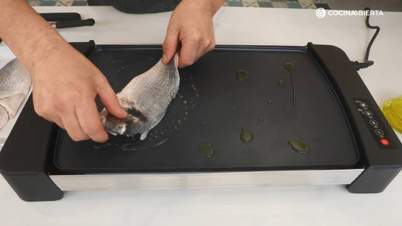 JATA Dorada plancha paso 3 JATA Dorada plancha paso 3