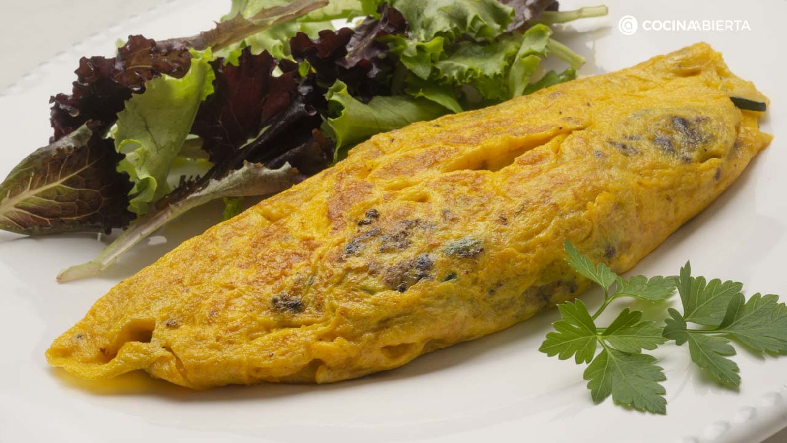 karl6823 tortilla calabacin xl karl6823 tortilla calabacin xl