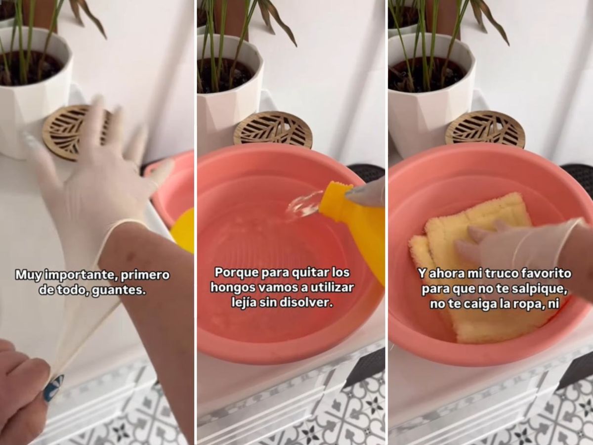 Mojar la mopa en lejía