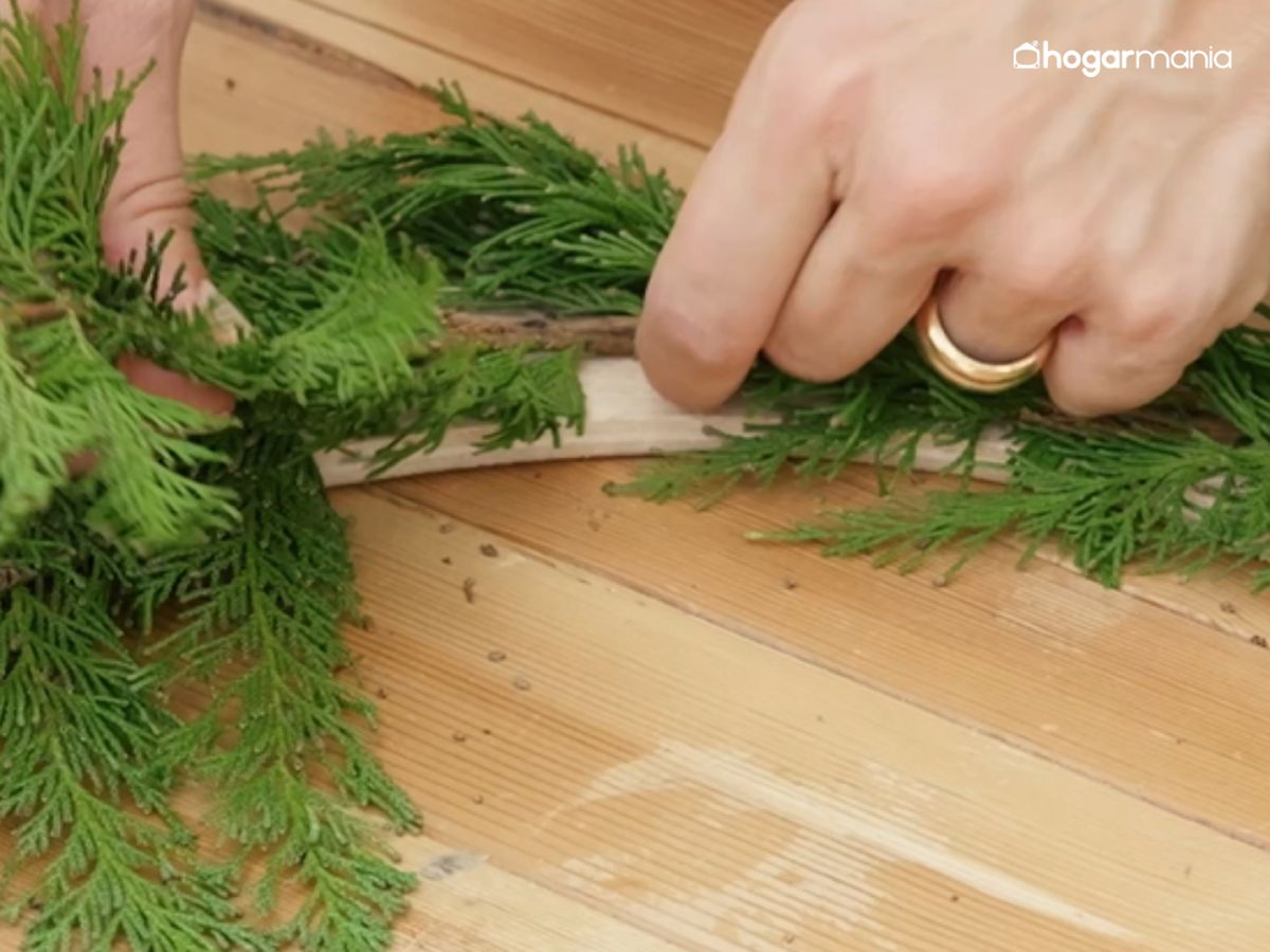 Añade más verde hasta cubrir por completo la base y lograr una corona frondosa y natural.