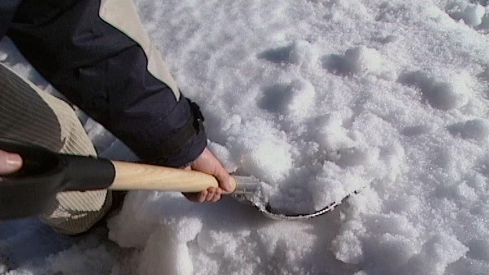 tipos de palas pala para nieve tipos de palas pala para nieve
