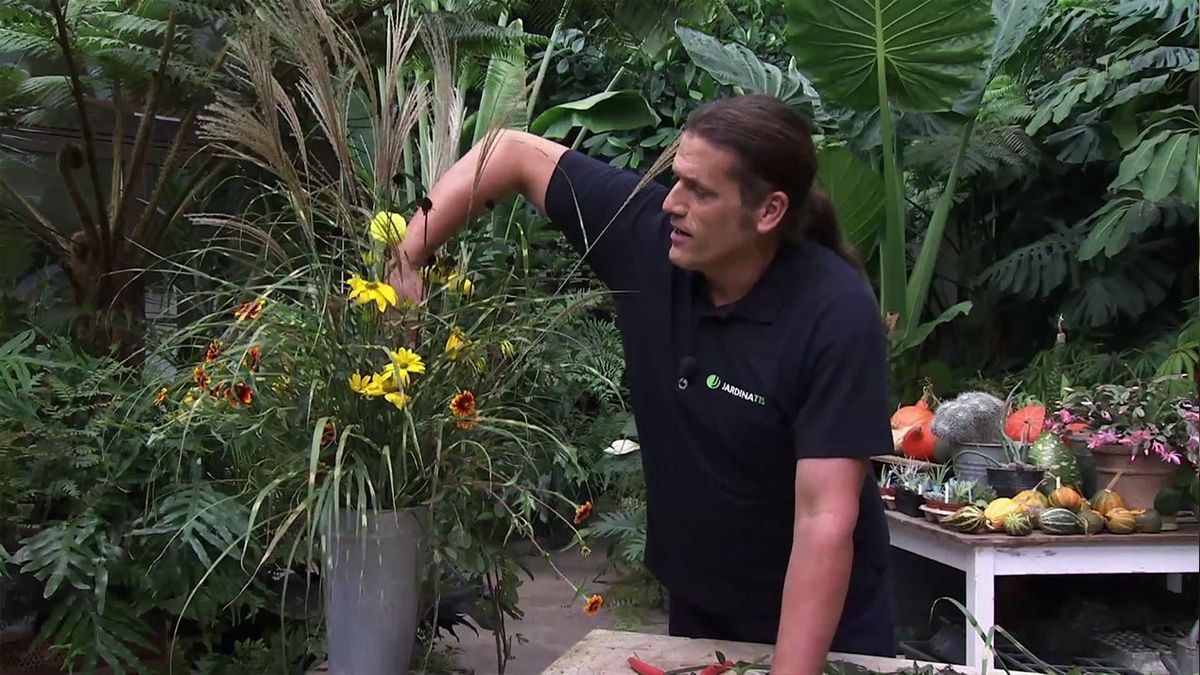 deco 754 jardin Miscanthus zebrinus arte floral final