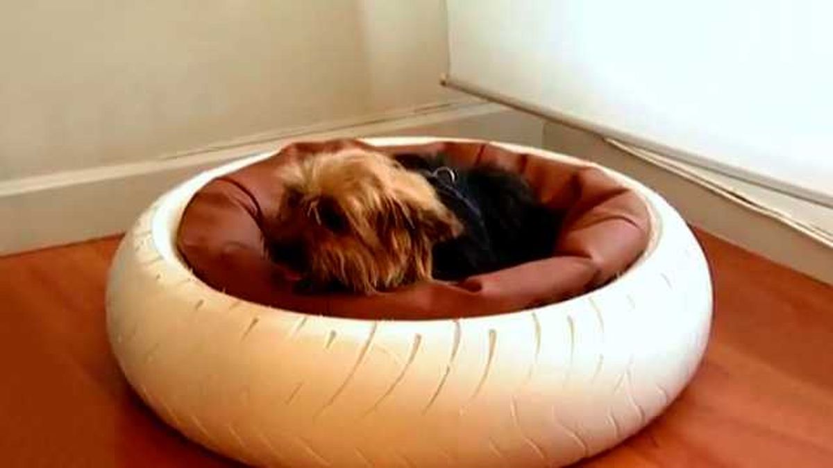 ideas para reutilizar neumaticos 1