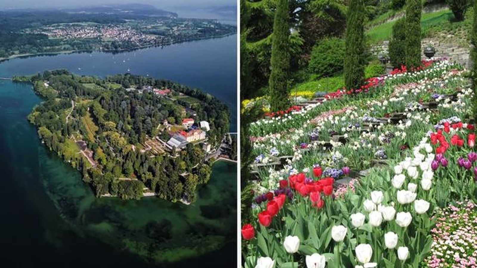Jardines de la Isla de Mainau. Jardines de la Isla de Mainau.