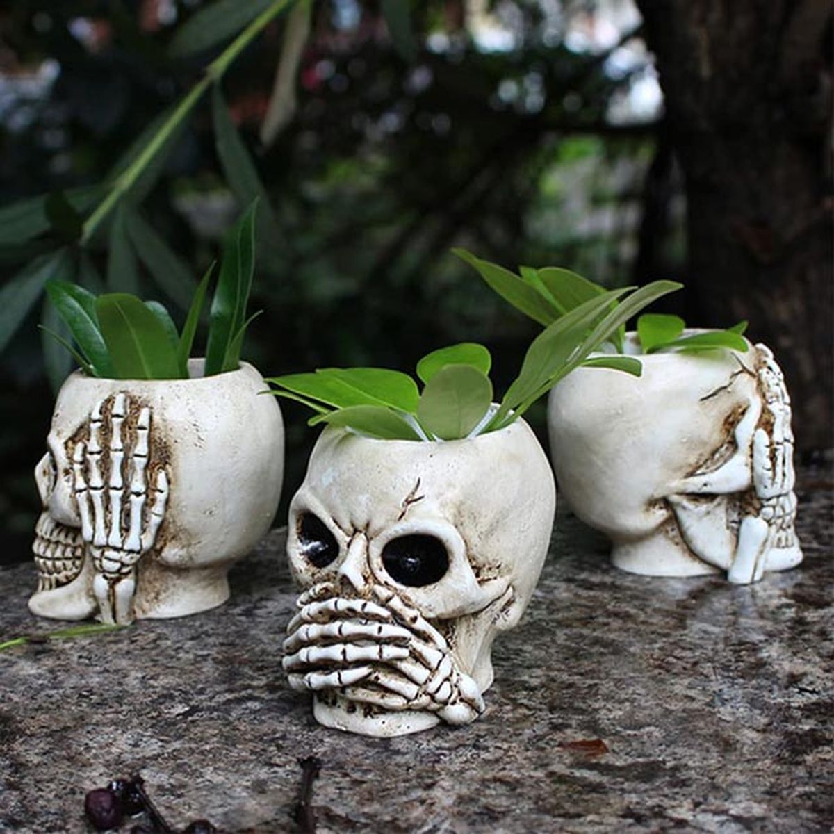 3 macetas calavera