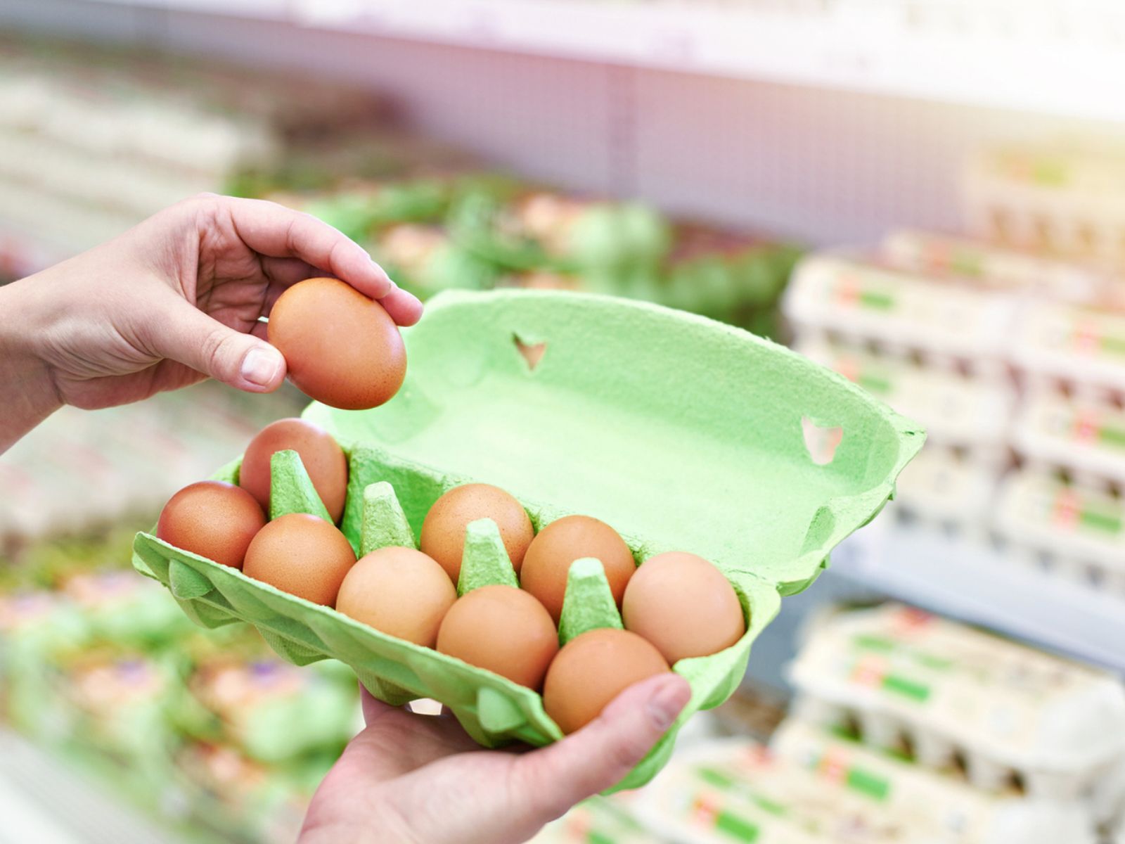 El precio de los huevos camperos o ecológicos es más elevado pero también son garantía de bienestar animal. El precio de los huevos camperos o ecológicos es más elevado pero también son garantía de bienestar animal.
