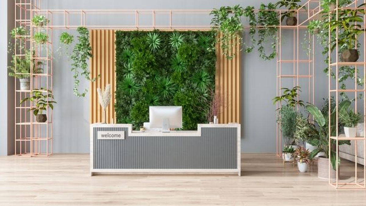 cuidados del jardin vertical