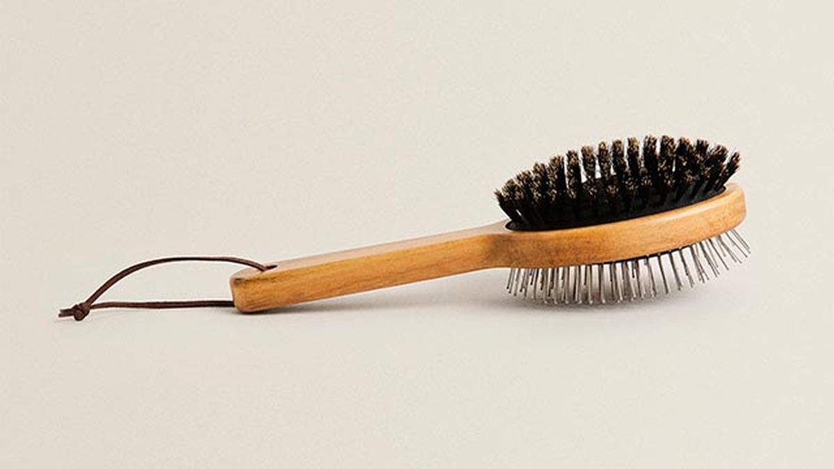 cepillo mascotas zara