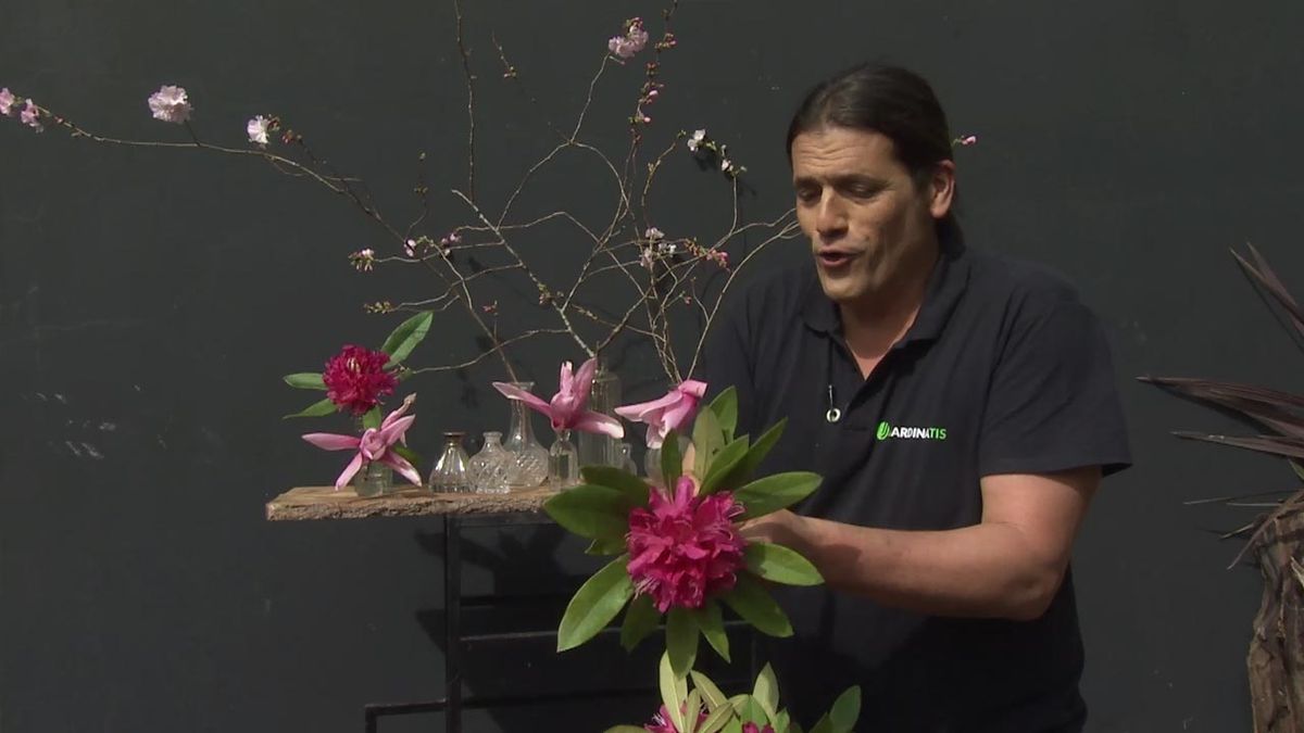 deco 773 jardin magnolia star wars altar floral rododendro