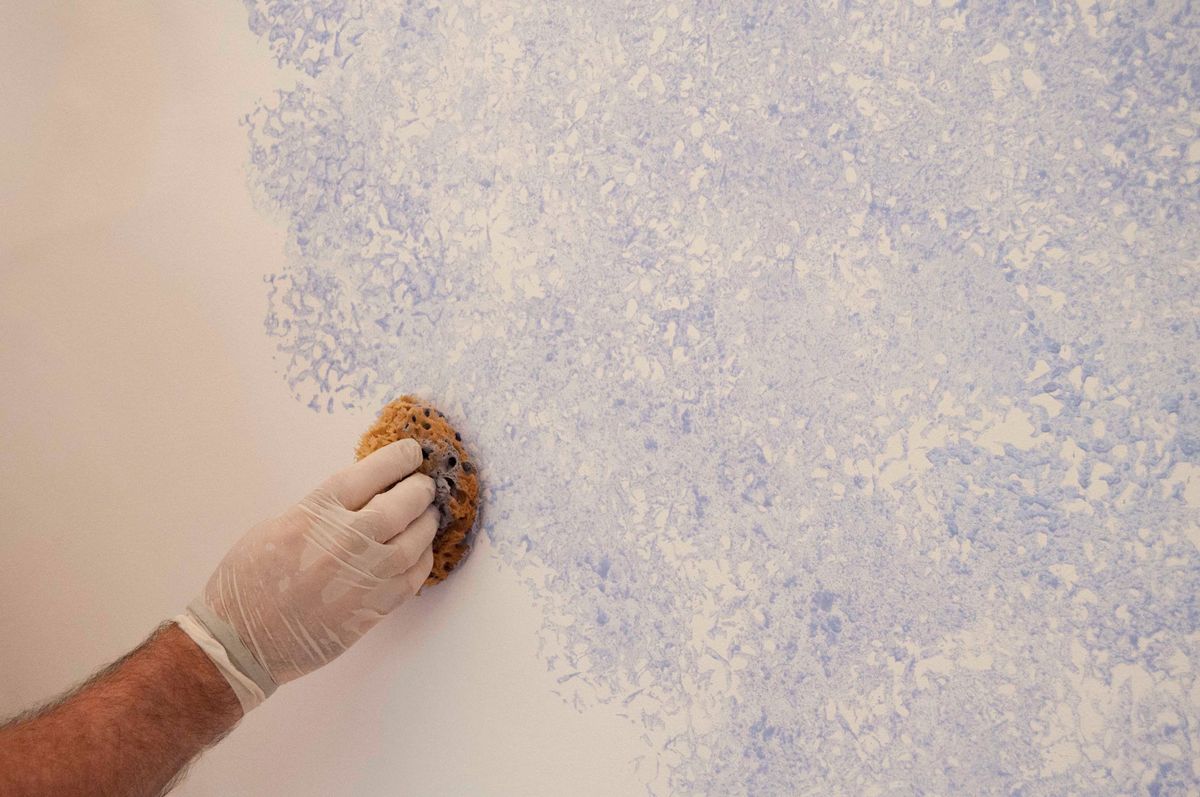 Renovar las paredes   aplicacion esponja