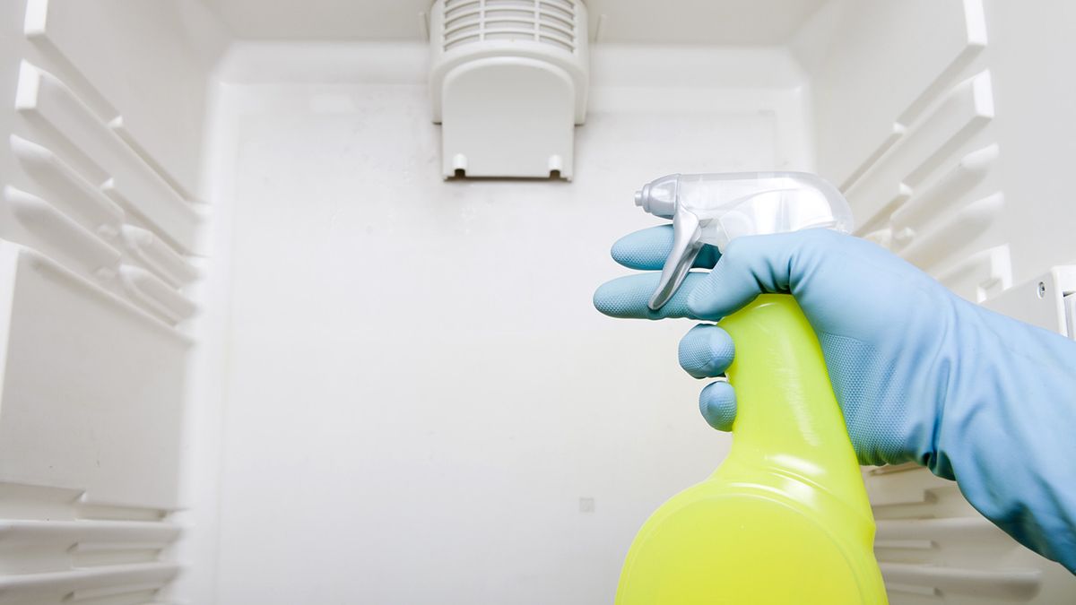 como limpiar una nevera frigorifico por dentro