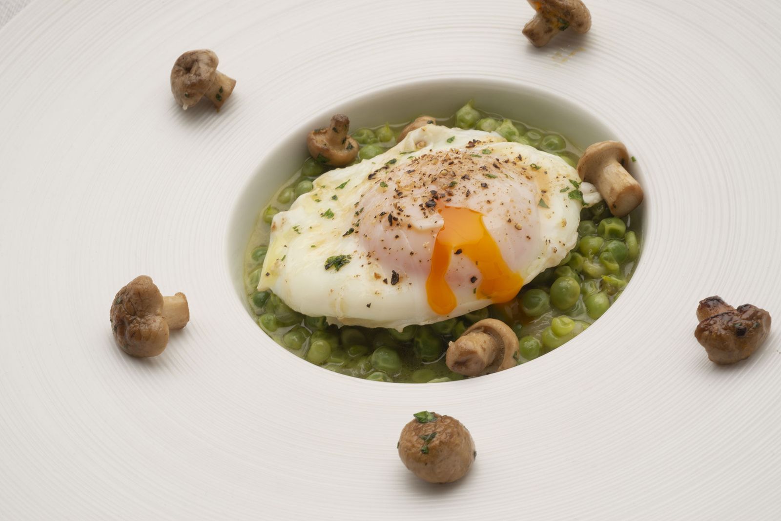 6166 1 Guisantes con huevos y zizas xl 6166 1 Guisantes con huevos y zizas xl